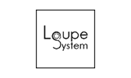 Loupe System