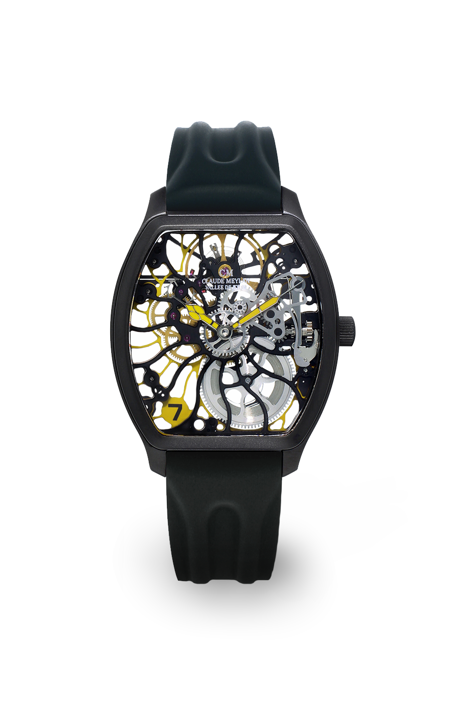 Claude Meylan Tortue Rainbow 6047-NJ