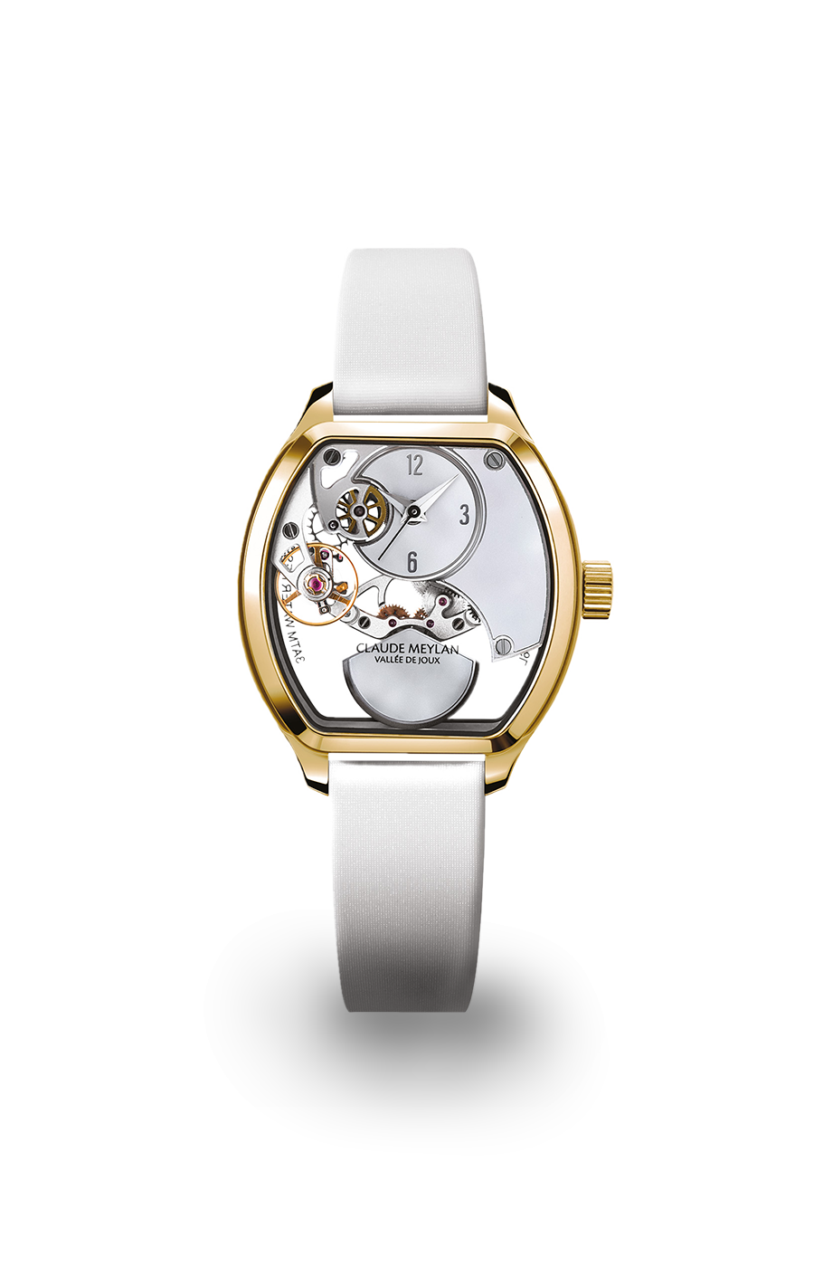 Claude Meylan Tortue