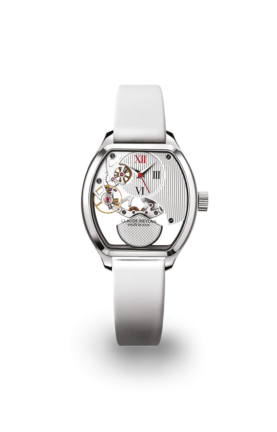 Claude Meylan Tortue