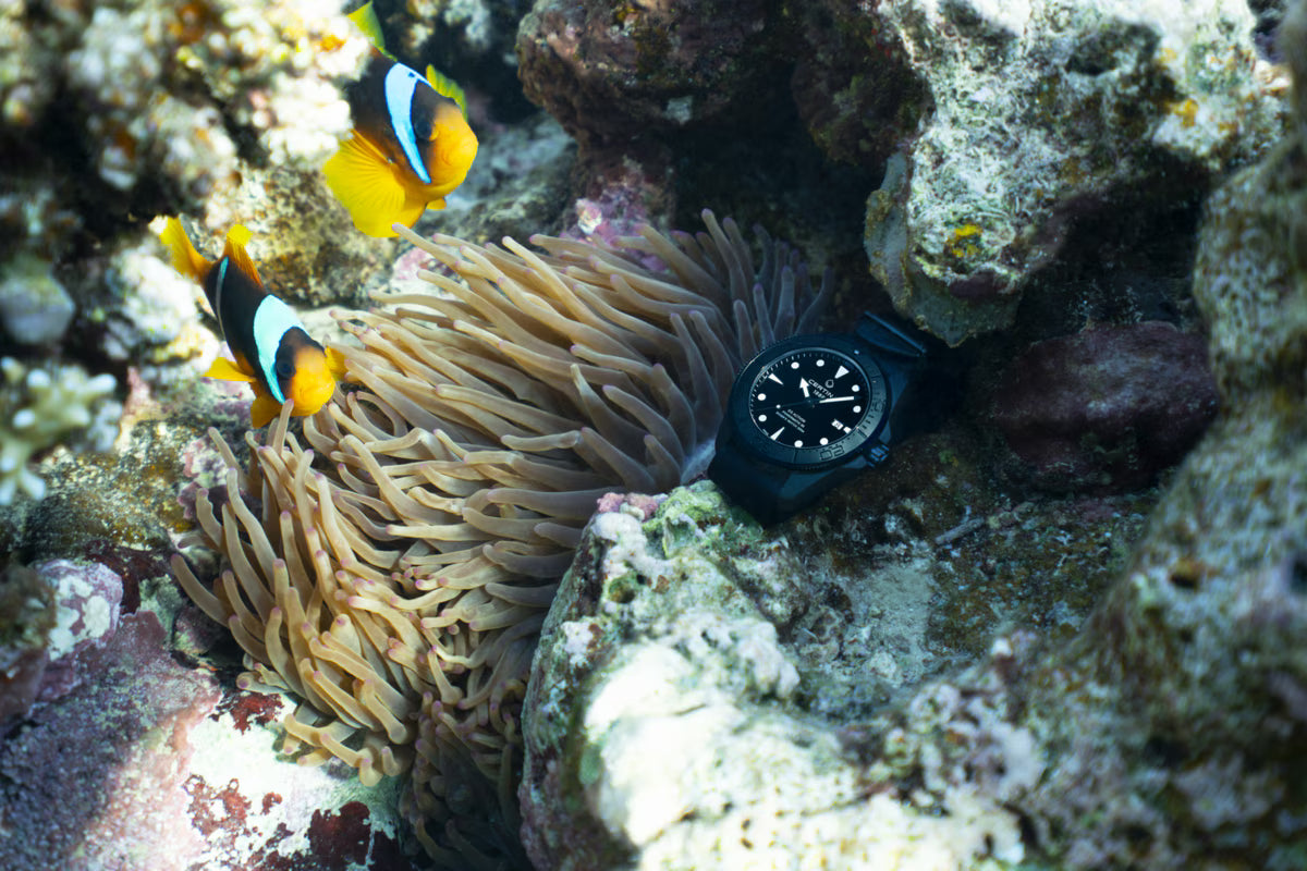 Ceas Certina DS Action Diver 43mm Powermatic 80