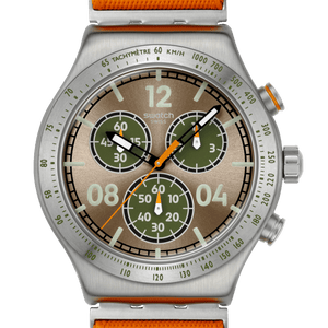 Ceas Swatch Vacation Time YVS101